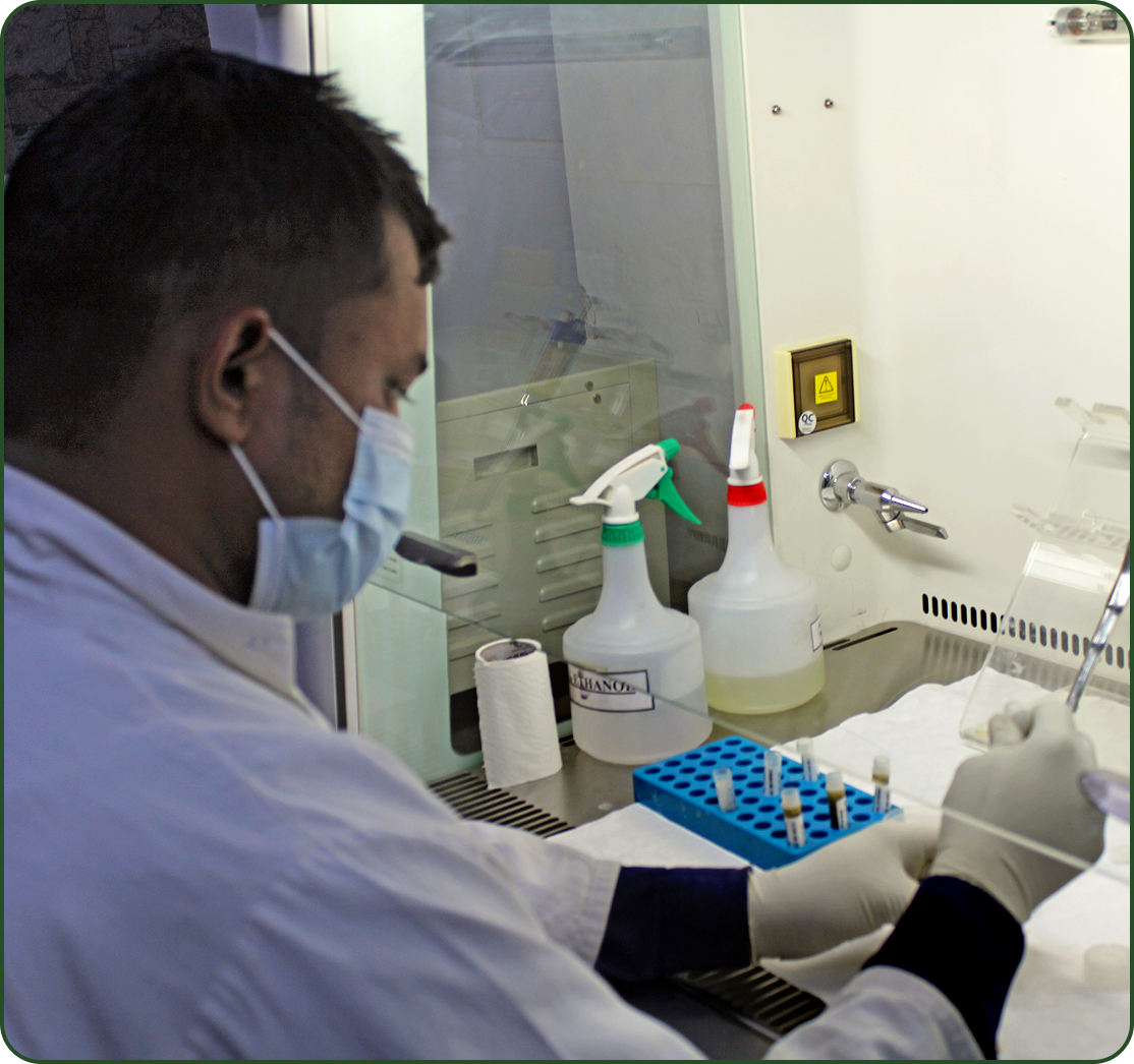 DXA Lab Image